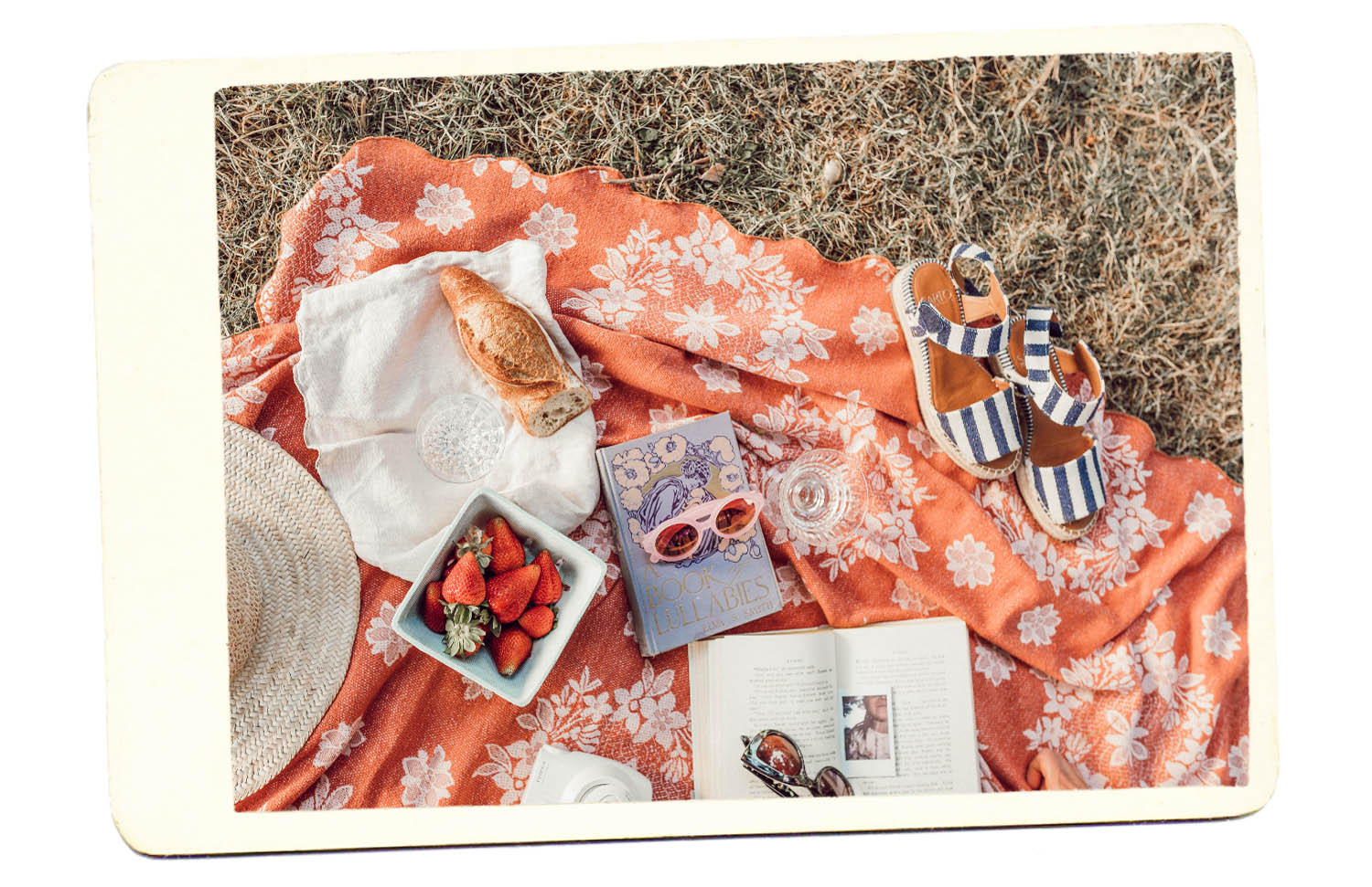 french picnic