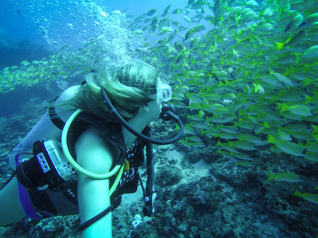 Maldives Diving 