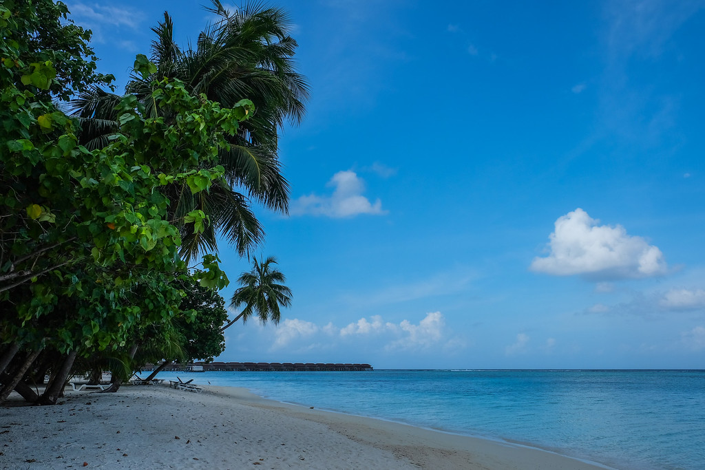 Maldives Beaches 