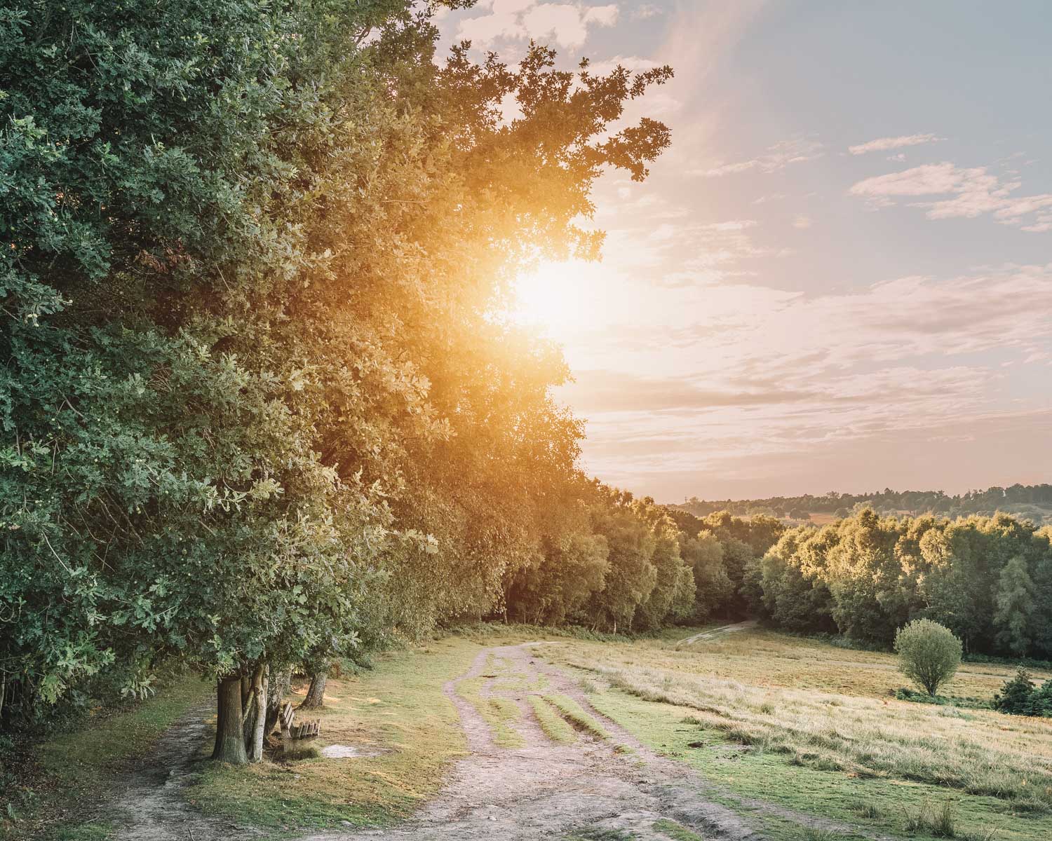 Ashdown Forest, East Sussex